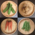 鹿児島野菜フェア開催中！