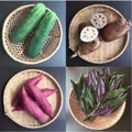 伝統野菜